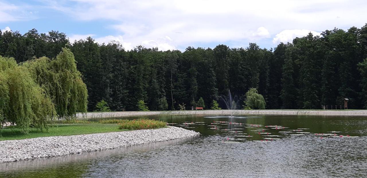 Antal Apartmanok Zalakaros Bagian luar foto