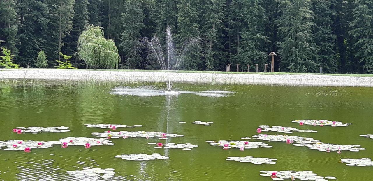 Antal Apartmanok Zalakaros Bagian luar foto