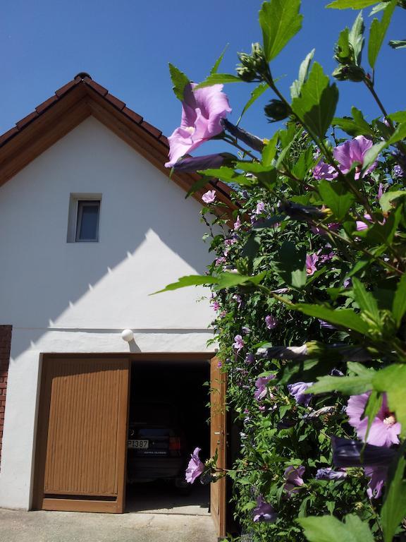 Antal Apartmanok Zalakaros Bagian luar foto